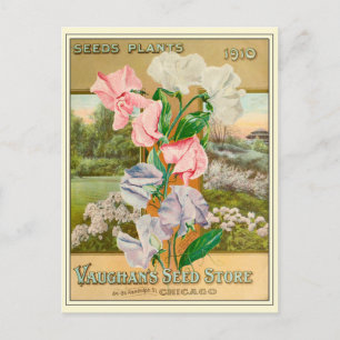 Carte Postale Catalogue vintage Chicago Gardening Flower Seeds