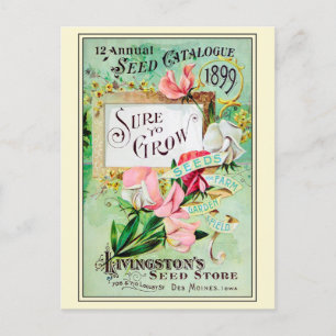 Carte Postale Catalogue vintage de semences de fleurs de jardina