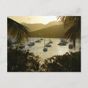 Carte Postale Catamarans et voiliers