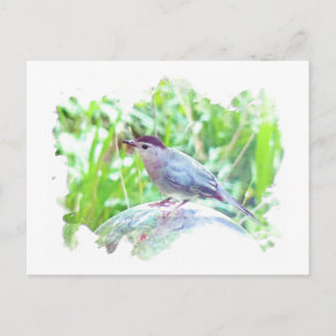 Carte Postale Catbird sur une boule de regard