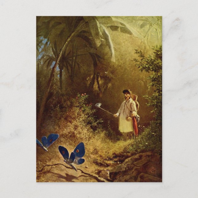 Carte Postale Catcher papillon vintage (Devant)