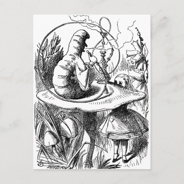 Carte Postale Caterpillar Fumer un Hookah Alice au pays des merv (Devant)