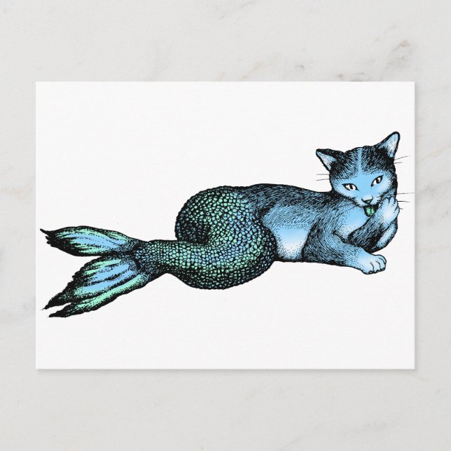 Carte Postale Catfish (Devant)