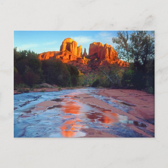 Carte Postale Cathedral Rock reflecting in Oak Creek at Sunset (Devant)
