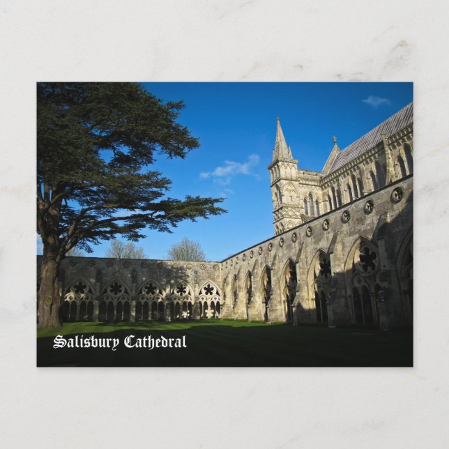 Carte Postale Cathédrale de Salisbury (Devant)