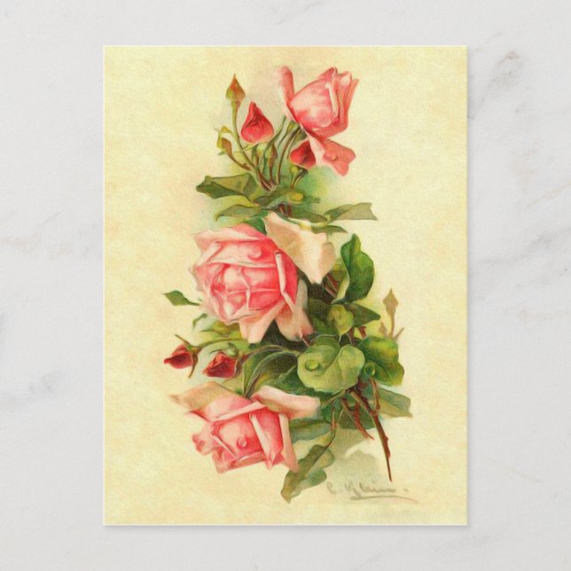 Carte Postale Catherine Klein Fleur Victorienne Bouquet Roses (Devant)