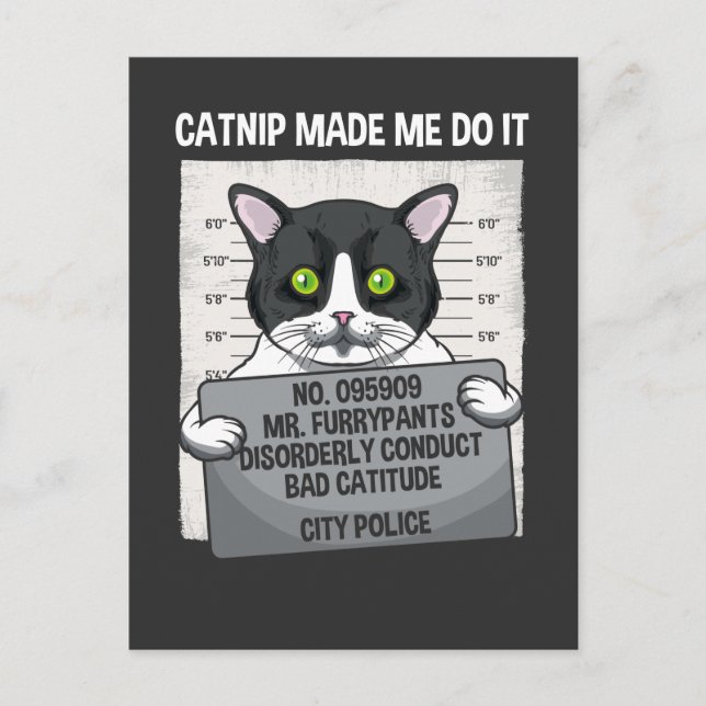 Carte Postale Catnip M'A Fait Le Faire Drôle Chat Arrêté Police (Devant)