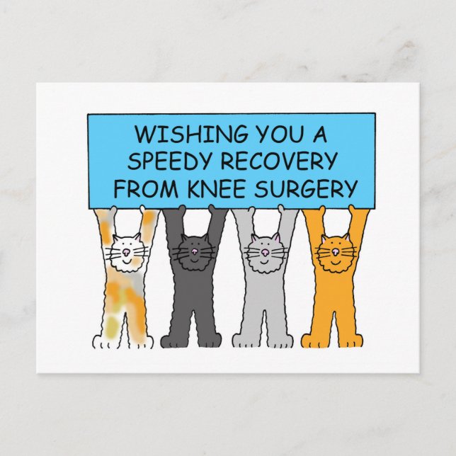 Carte Postale Cats de Knee Surgery (Devant)