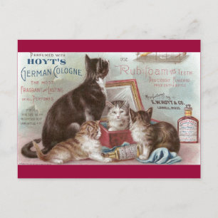 Carte Postale Cats Vendant Cologne Victorian Trade Card