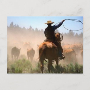 Carte Postale Cattle Drive