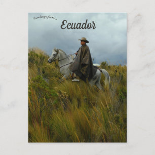 Carte Postale Cavalier et Cheval à Cotopaxi Équateur