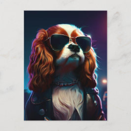 Carte Postale cavalier king charles dans la rue avec un blouson 