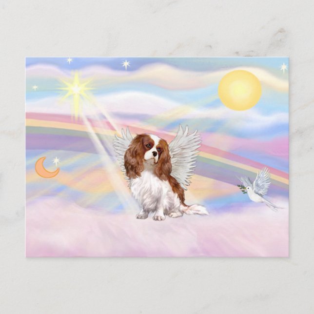 Carte Postale Cavalier King Charles Spaniel (Devant)