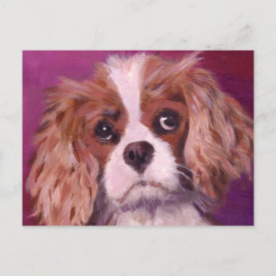 Carte Postale Cavalier King Charles Spaniel