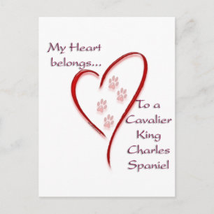 Carte Postale Cavalier King Charles Spaniel Coeur Appartient