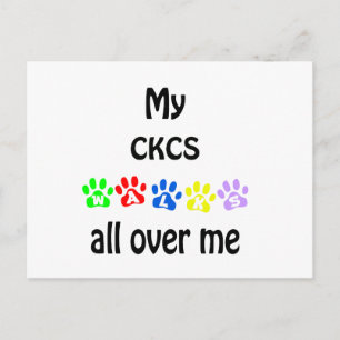 Carte Postale Cavalier King Charles Spaniel Marches Design