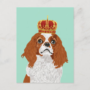 Carte Postale Cavalier King Charles Spaniel pour Amoureux de les