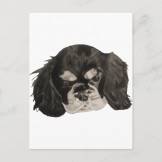 Carte Postale Cavalier King Charles Spaniel Puppy