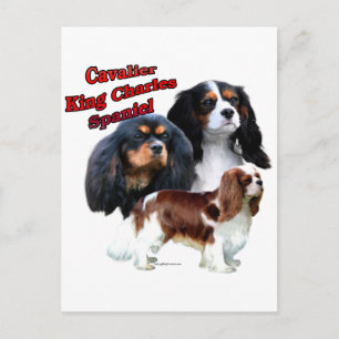 Carte Postale Cavalier King Charles Spaniel Trio 2