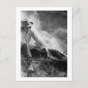 Carte Postale Cavalière de rodéo luttant contre un veau, années 