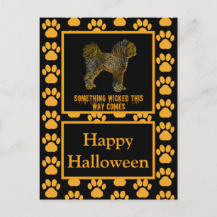 Carte Postale Cavapoo Anglais Chien Silhouette Halloween