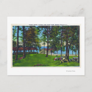 Carte Postale Cayuga Lake State Park Scene
