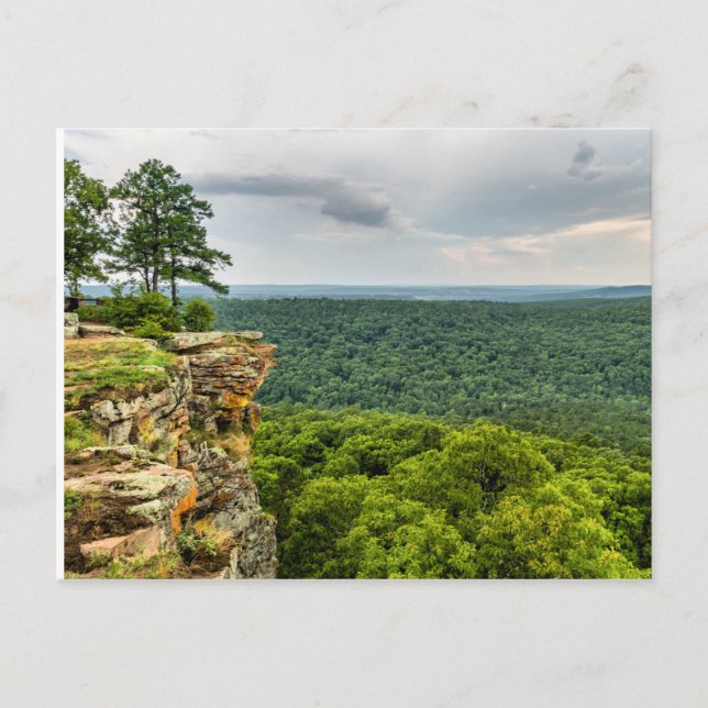 Carte Postale CCC Overlook Petit Jean (Devant)