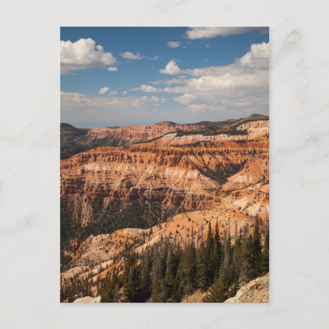 Carte Postale Cedar Breaks National Monument, Utah (Devant)