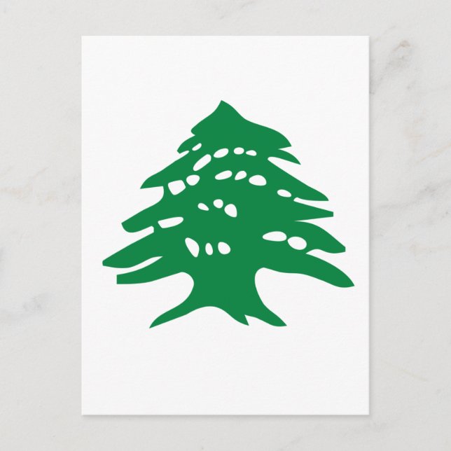 Carte Postale Cèdre vert Liban (Devant)