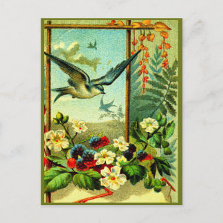 Carte Postale "Celebrate Nature" dans le style!