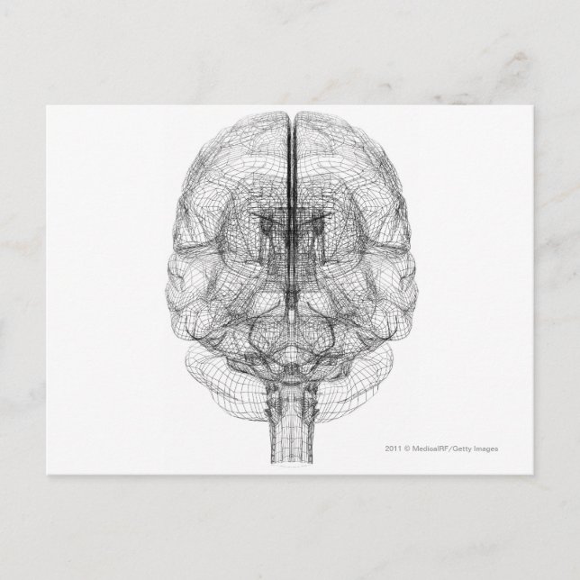 Carte Postale Cellule filaire du cerveau (Devant)