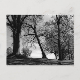 Carte Postale Cemscape