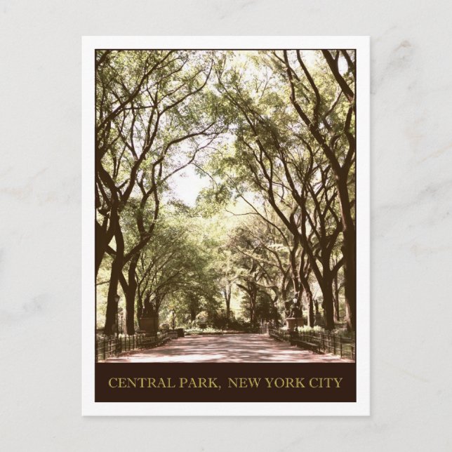 Carte Postale Central Park (Devant)