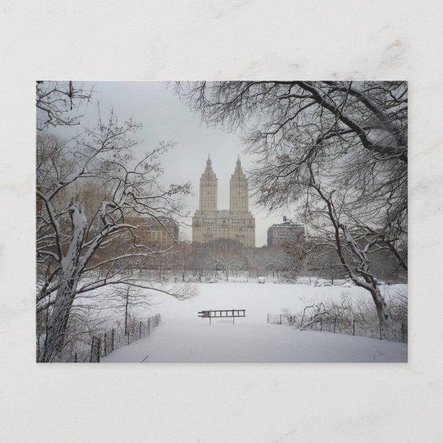 Carte Postale Central Park dans la neige, New York City (Devant)