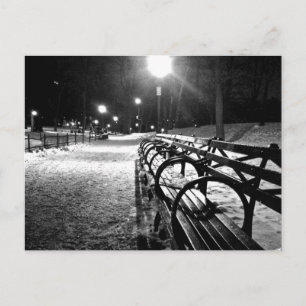 Carte Postale Central Park en hiver