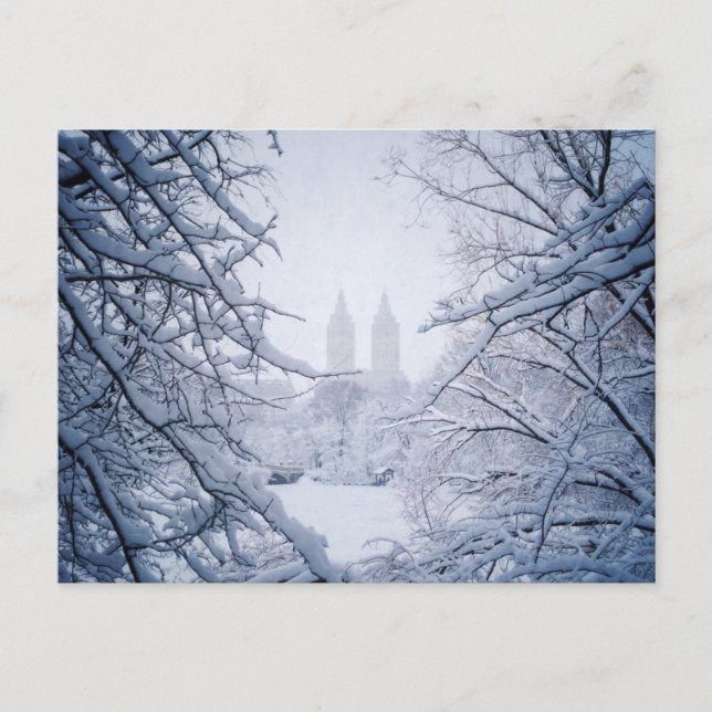 Carte Postale Central Park encadré dans la neige et la glace (Devant)