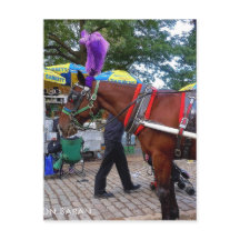 Central Park Horse
