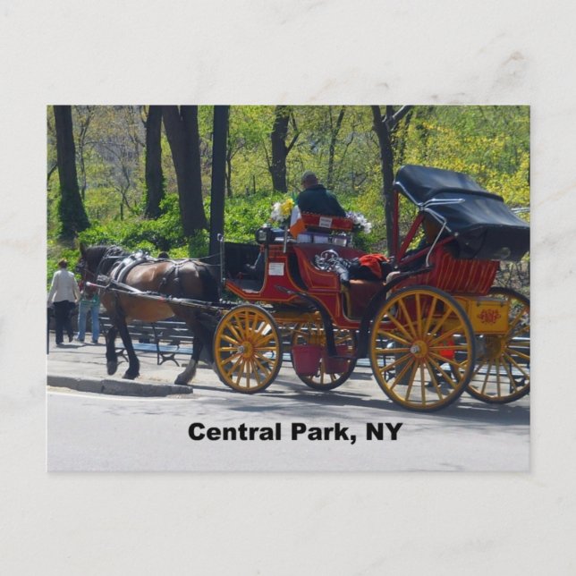 Carte Postale Central Park, Horse et Carriage (Devant)
