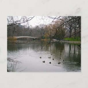 Carte Postale Central Park Lake NYC New York City Travel Photo