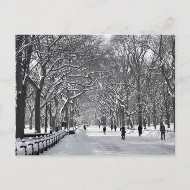 Carte Postale Central Park Mall B&W (Devant)