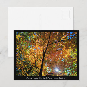 Carte postale Central Park Manhattan