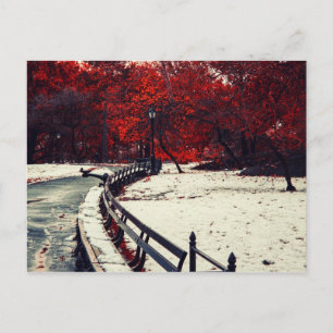 Carte Postale Central Park, New York