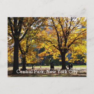 Carte Postale Central Park New York Automne Arbres Jaunes