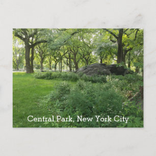 Carte Postale Central Park New York Été Vert Pittoresque
