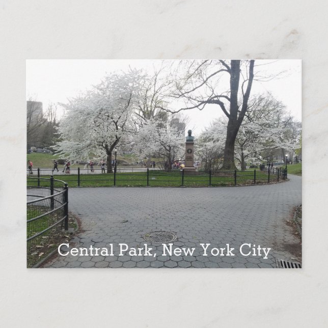 Carte Postale Central Park New York Springtime Path avec arbres (Devant)