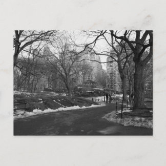 Carte Postale Central Park noir du blanc NY