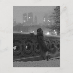 Carte Postale Central Park, NYC, vue sur la neige depuis Bow Bri