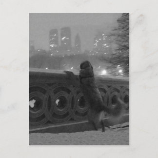 Carte Postale Central Park, NYC, vue sur la neige depuis Bow Bri