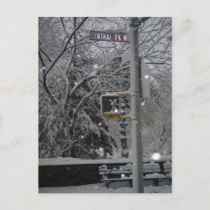 Carte Postale Central Park West New York City Neige NYC Blizzard
