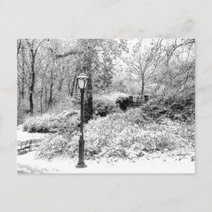 Carte Postale Central Park Winter Snow Landscape Photo